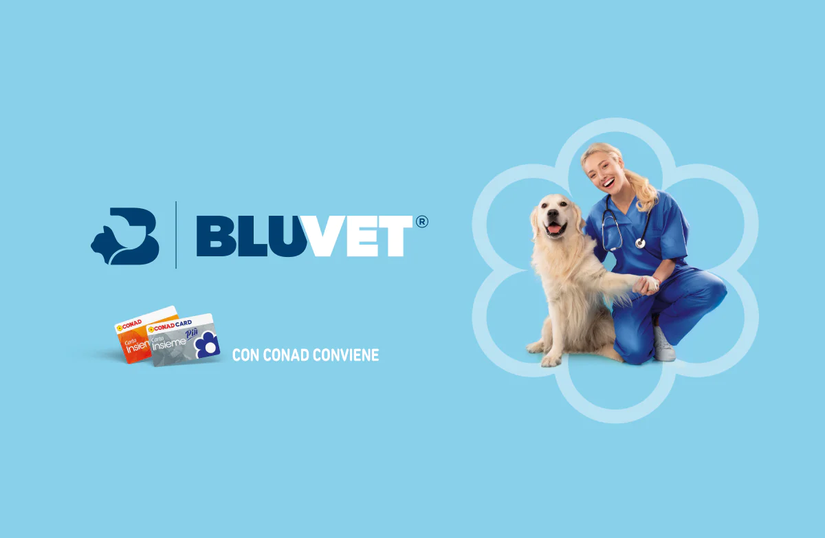 www.conad.it